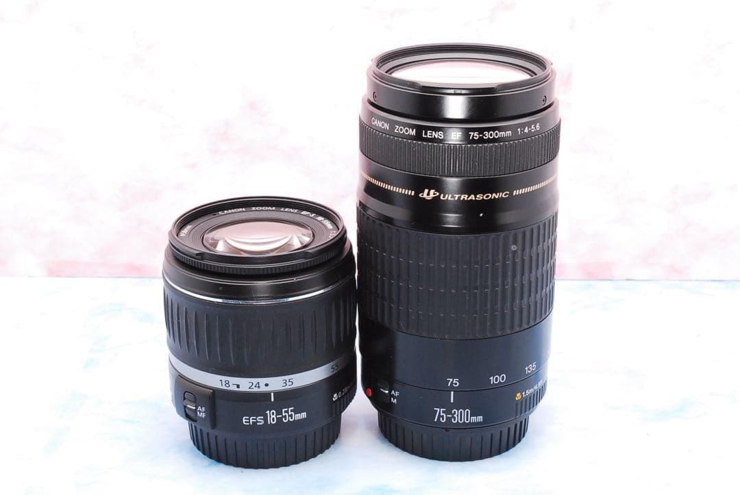 キャノン EOS 7D★超望遠レンズ付Wレンズ★一眼レフカメラ★本格撮影！