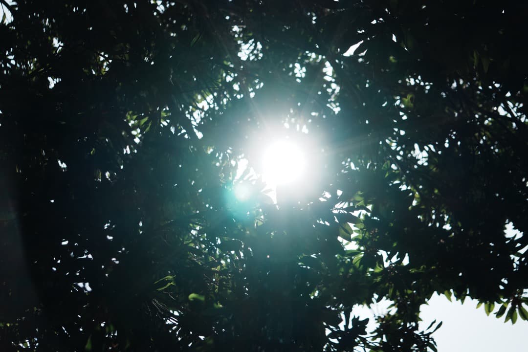 【運動会・スポーツに】SONY 望遠ズームレンズ SEL55210 514