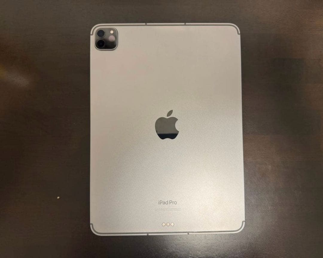 iPad Pro 11インチ 第4世代256GB Cellular