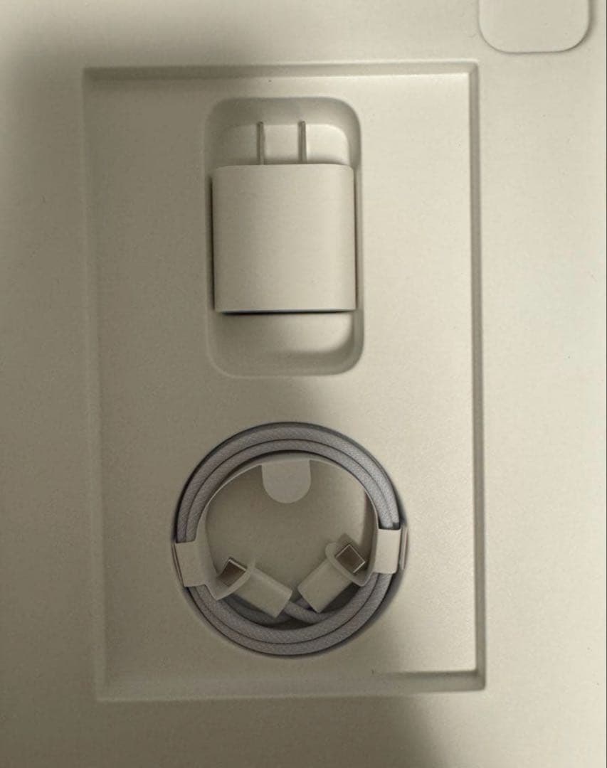 iPad Pro 11インチ 第4世代256GB Cellular