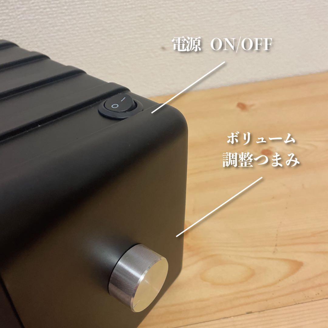 BOSE 101mm Bluetoothスピーカー 2181 バッテリー付き！