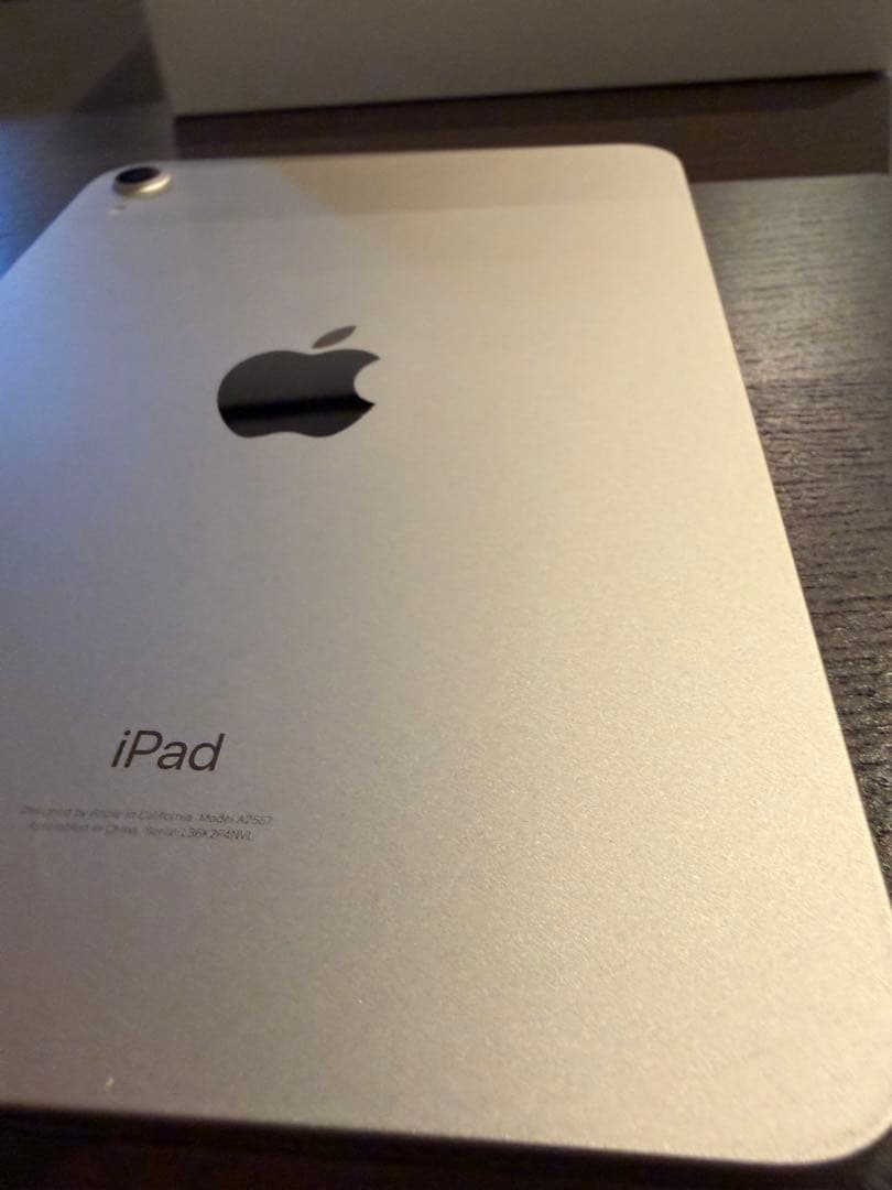 「楓」iPad mini (第6世代) 64GB