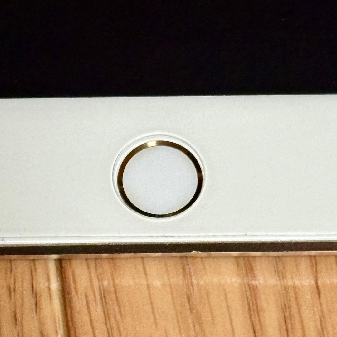 iPad mini 第4世代　バッテリー最大容量96%　Cellular