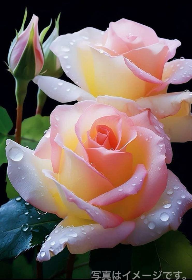 LEFFIA様の専用ページです。