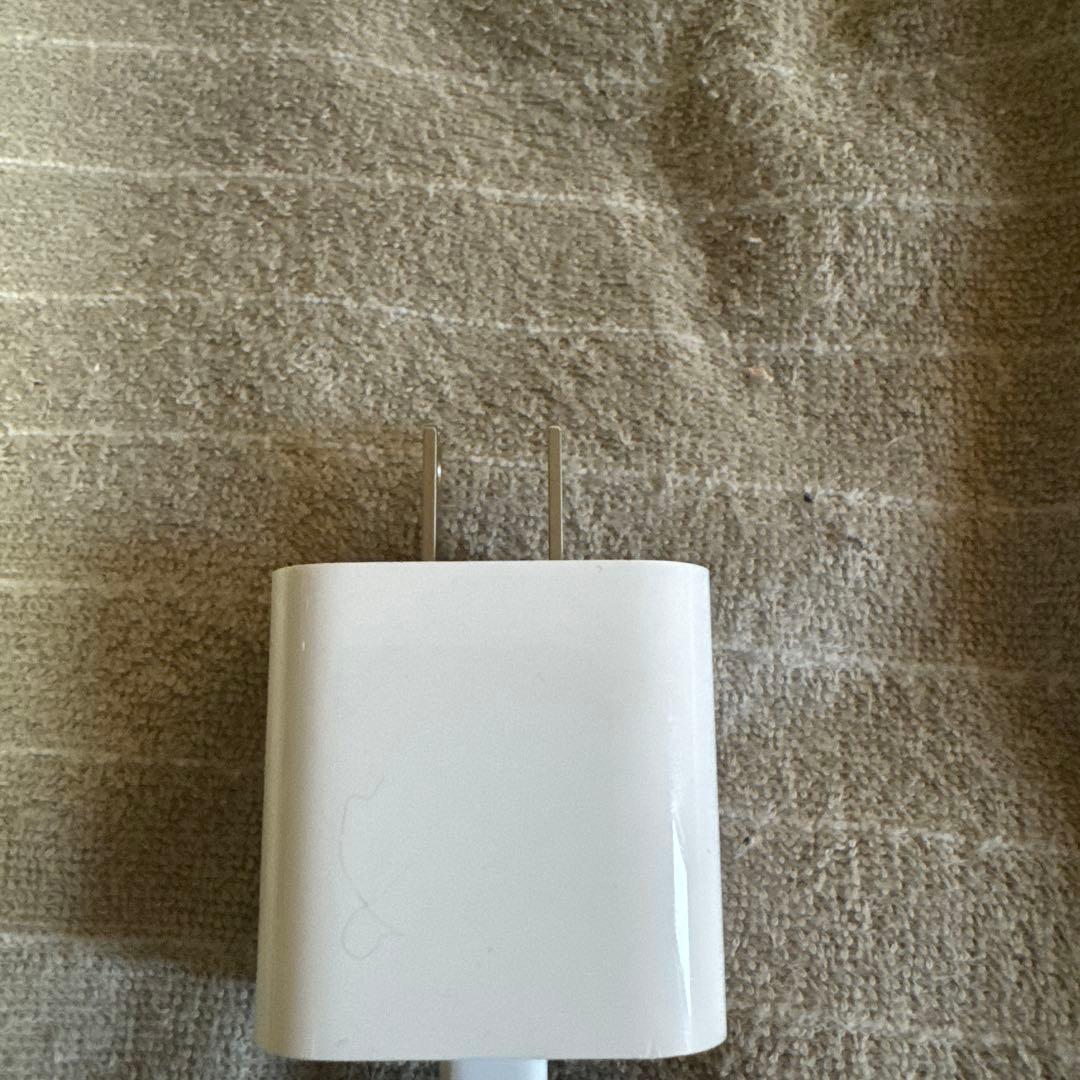 iPadPro11インチ 第4世代 256GB 最大充電容量100%