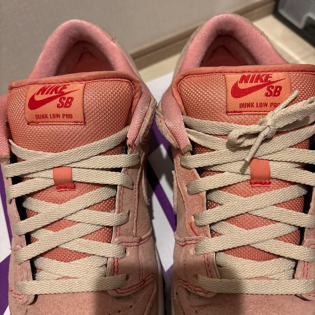 NIKE SB DUNK LOW PRO ナイキ SB ダンク 替え紐付き