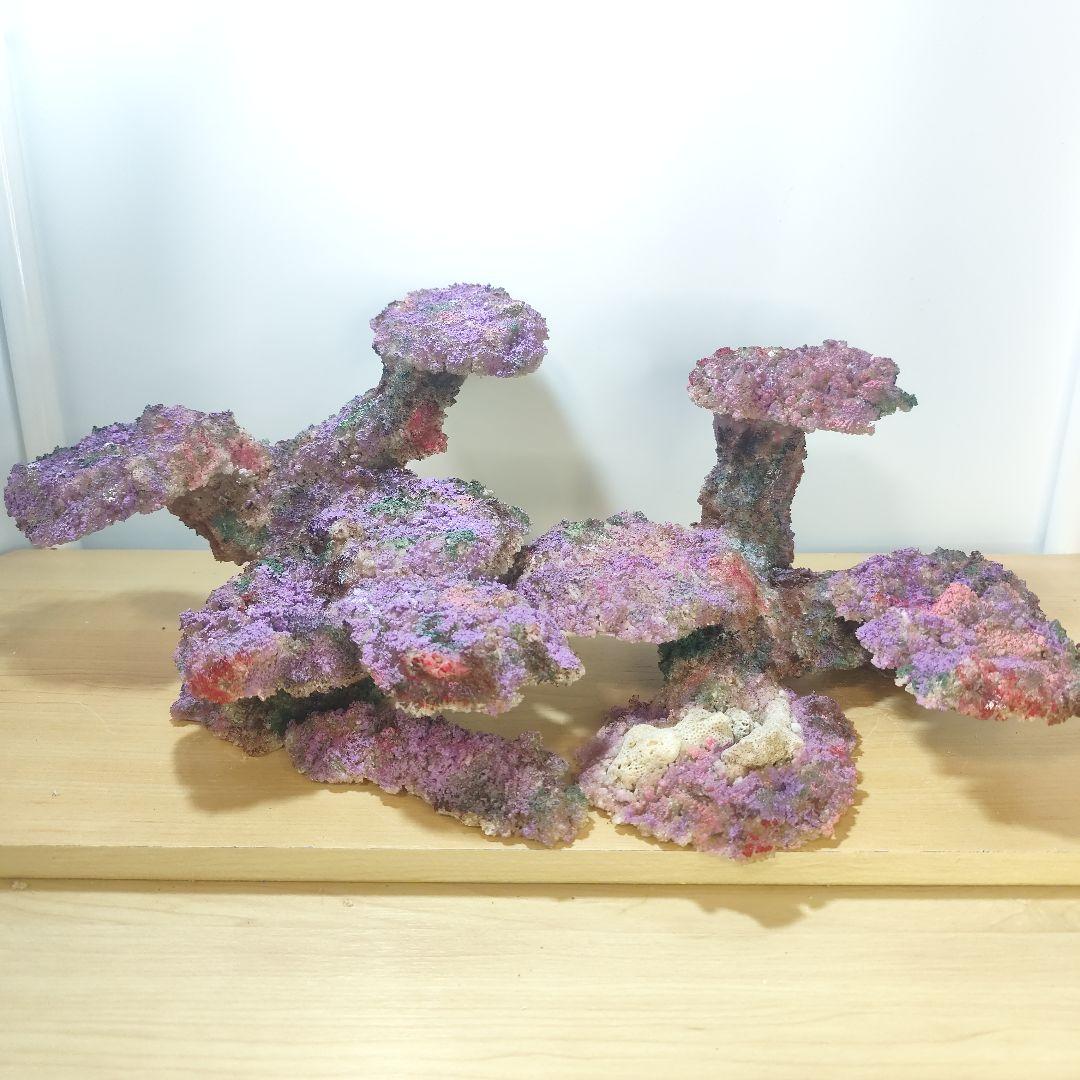 新品アク抜き不要 分離型人工ライブロック 60cm海水水槽用 レプリカ 多孔質4