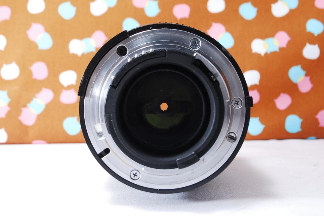 ✨ショット数5056回✨お安くデビュー✨Nikon D70 レンズセット
