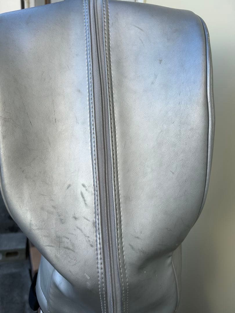 希少タイガーウッズBUICK 50周年記念キャディバッグ シルバー/ブルー