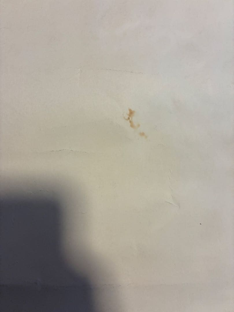 CAPCOM X-MEN: Children of the Atom ポスター