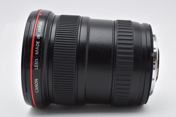 ★光学極上品★キヤノン EF 17-40mm F4 L USM #610