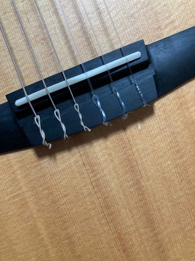 テイラーギター