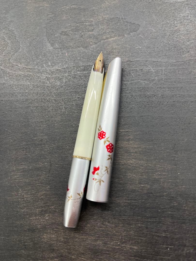 万年筆3点セット　14K 細字　PLATINUM PILOTまとめ売り