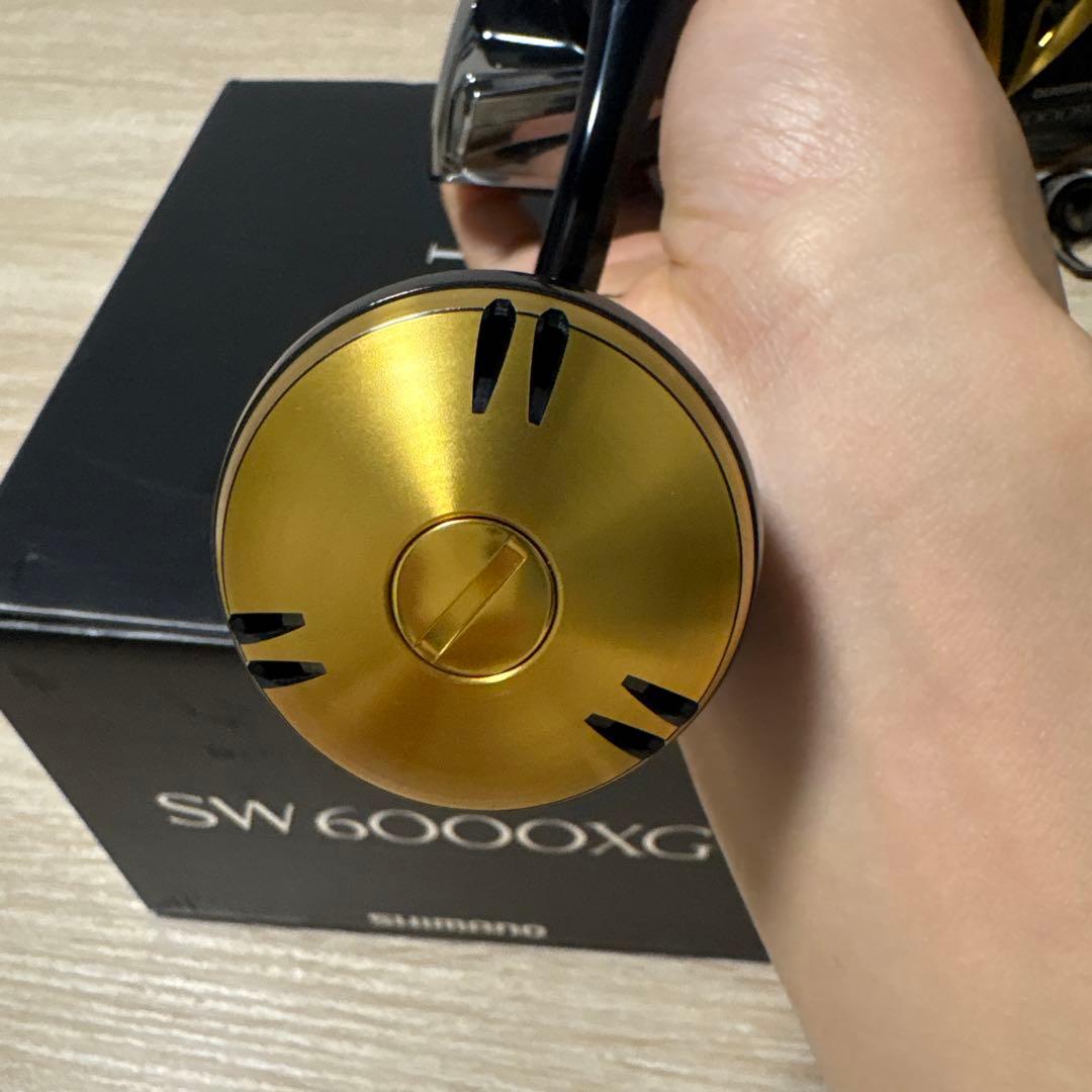 20ステラSW6000XG