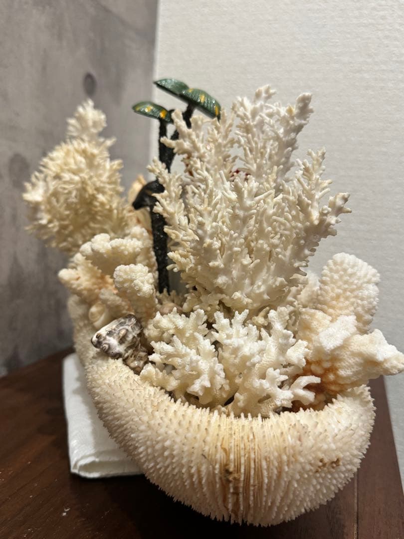 白珊瑚天然　オブジェ　アクアリウム　インテリア　デコレーション サンゴ