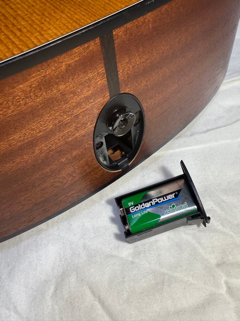 Taylor エレアコ　114ce