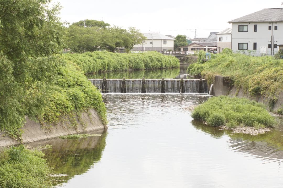 【希少・富岡光学 ヤシカ】 Auto Yashinon-DX 50mm F2