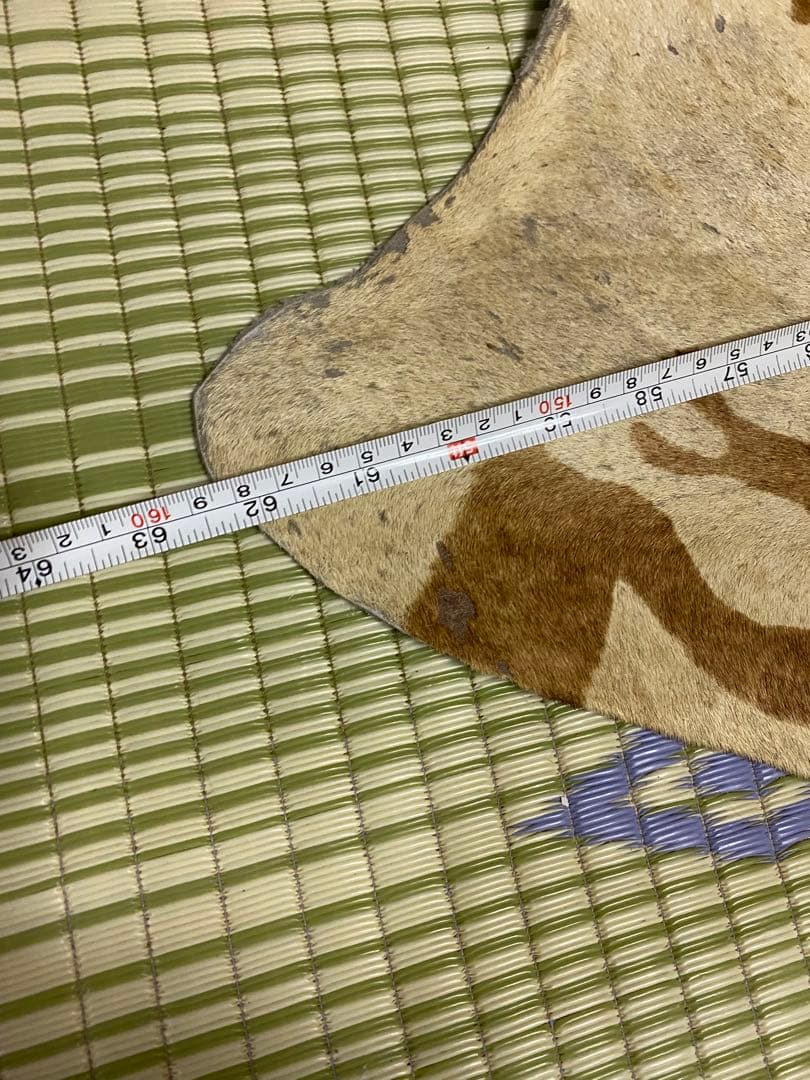 本格派　希少ホースラグマット