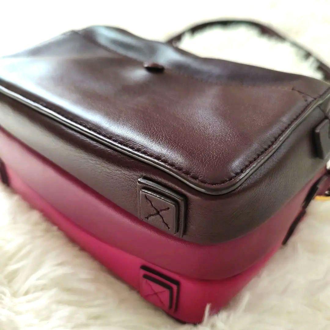 【アニヤハインドマーチ】トリオ ショルダー バッグ