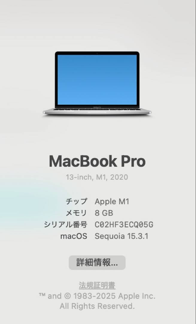 【美品】MacBook Pro M1 13インチ 2020 8GB 256GB