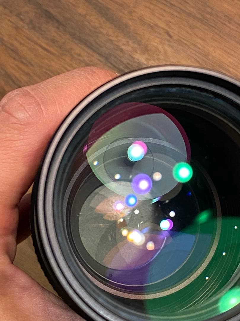 LUMIX G1 ミラーレス一眼　ニコンシリーズE 70-210 動作品　望遠