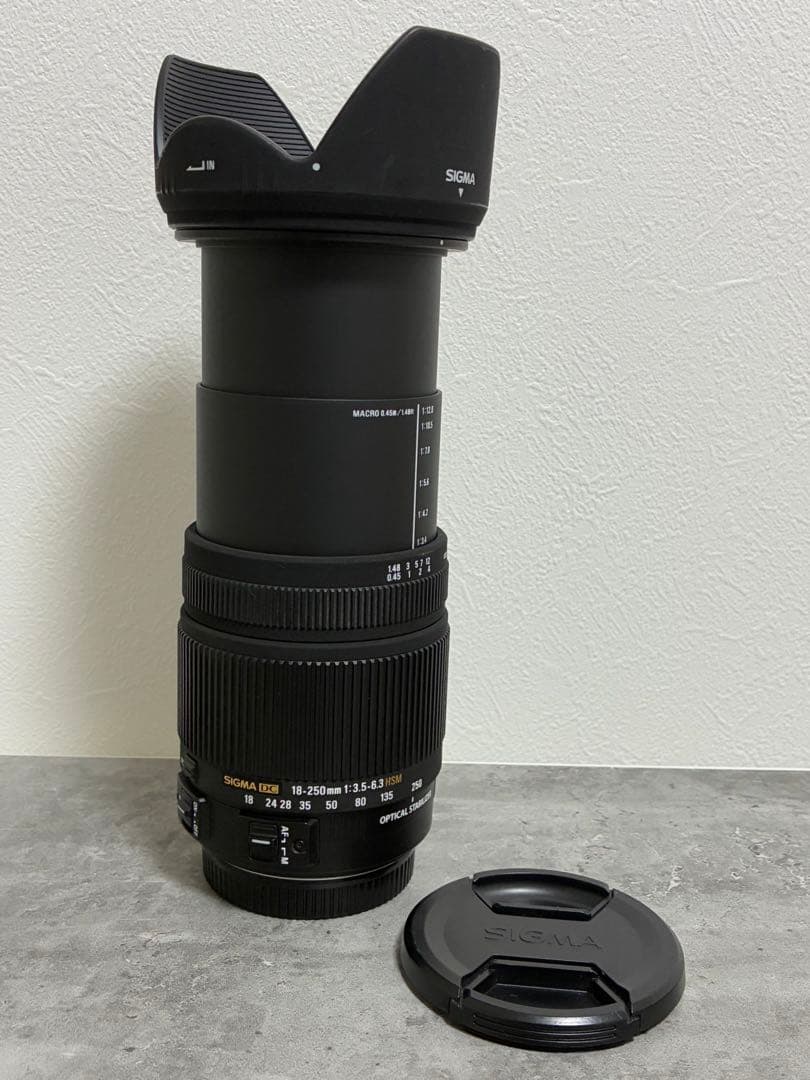 ⭐️美品⭐️ SIGMA 18-250mm 3.5-6.3 DC OS HSM