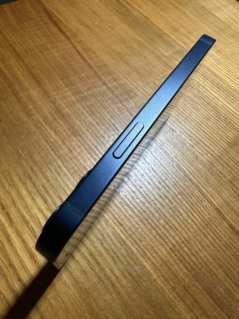 レザーケース付★Apple iPhone 12 miniブラック 64GB