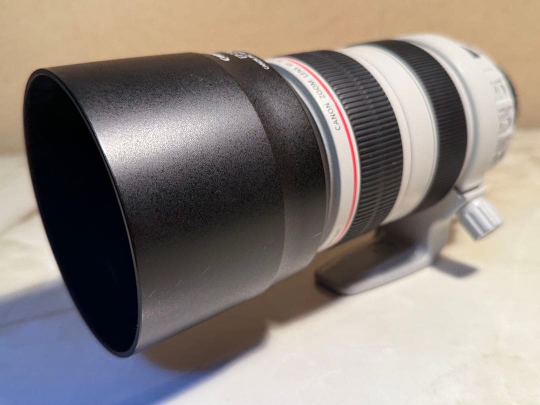 レンズ(ズーム) Canon EF70-300L F4-5.6 IS USM