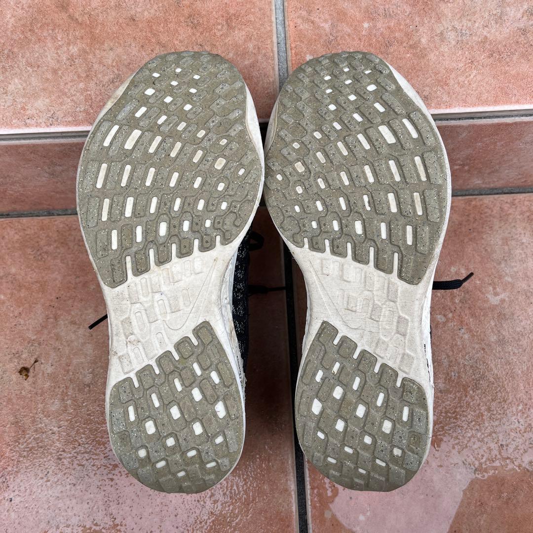 Nike ペガサスターボ　ネクストネイチャー　25.0cm
