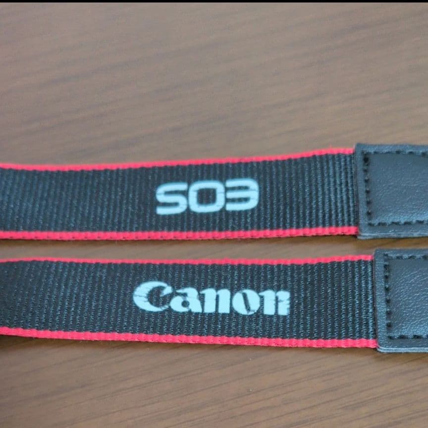 【美品】Canon EOS Kiss M2 ダブルズーム＋22mm単焦点レンズ