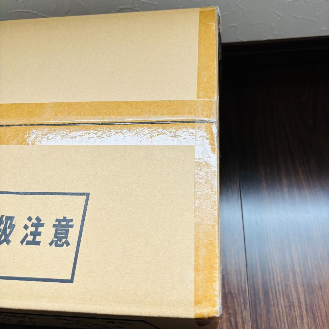 未開封 緊急用毛布 EMERGENCY BLANKET EB-205 10枚入