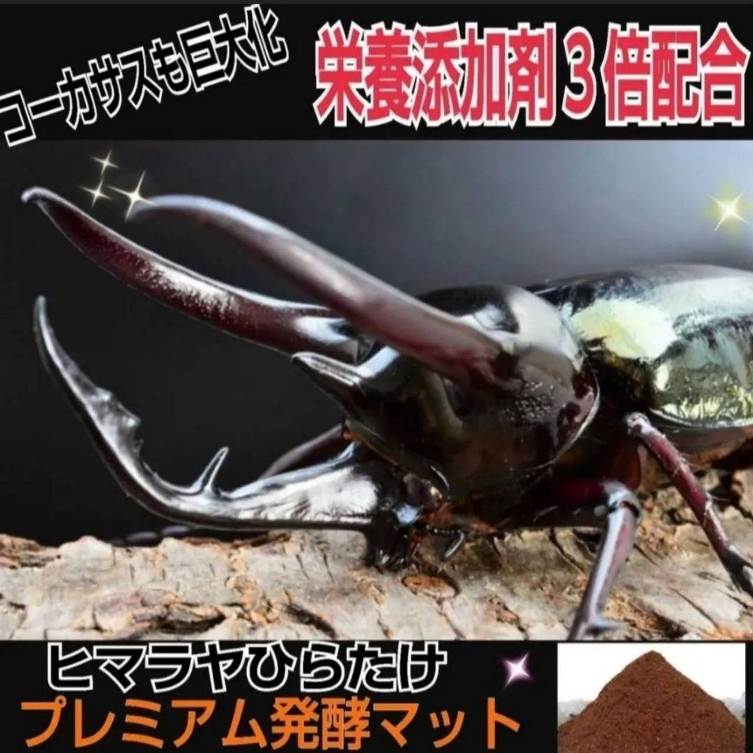 ヘラクレスが大きくなります！プレミアム3次発酵マット【60L】180ミリ羽化実績
