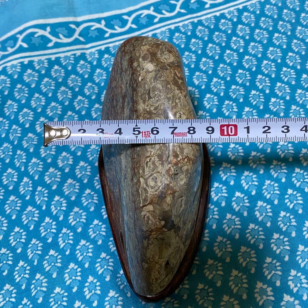 赤花紋　梅花紋　菊花石　鑑賞石