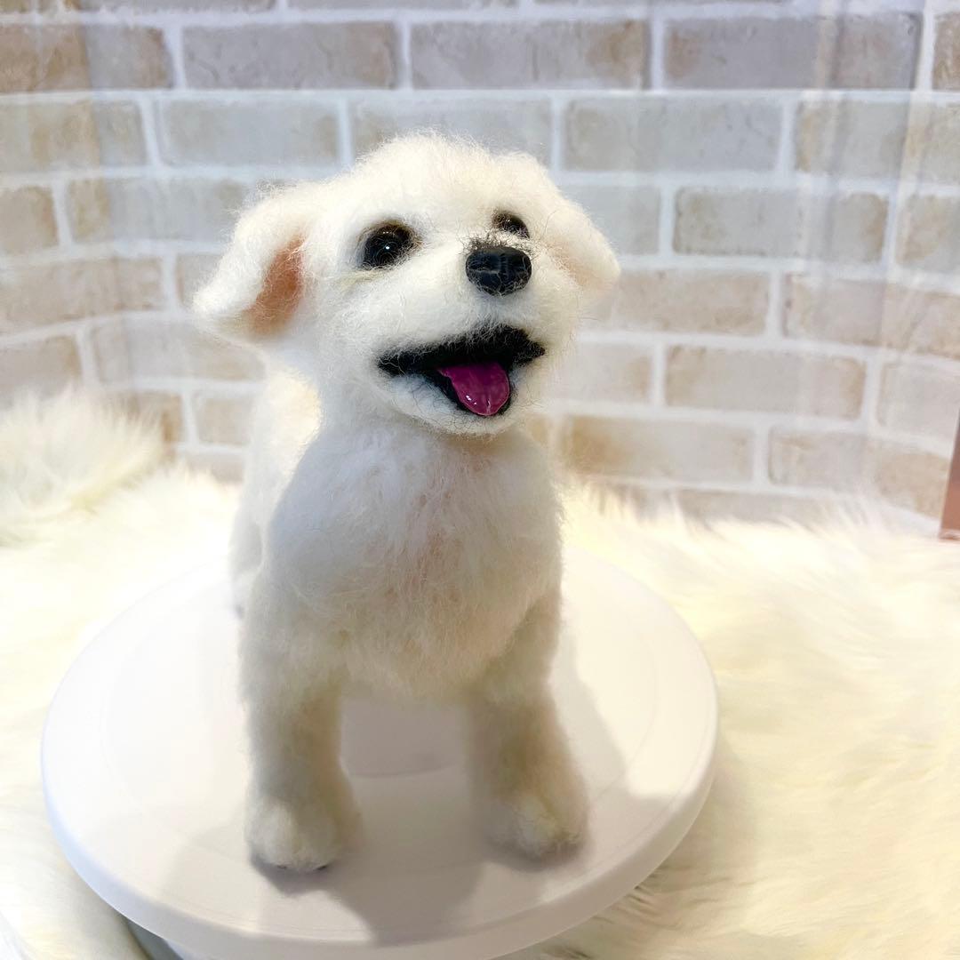 ジ*原様 羊毛フェルト　マルチーズ　momoichigo