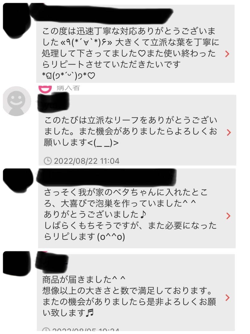 沖縄県やんばる産マジックリーフ 1kg UV殺菌灯照射済み④