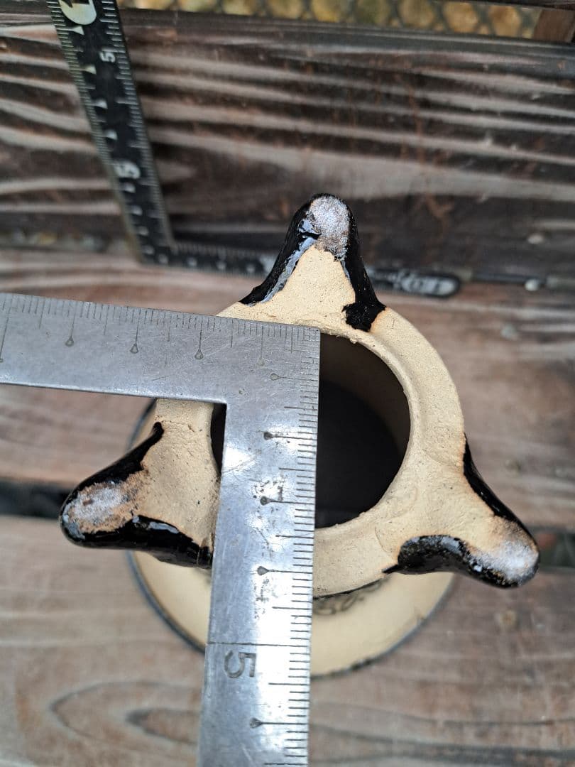 錦鉢　万年青　オモト　長生蘭　風蘭　古典植物　植木　観葉植物　インテリア　園芸