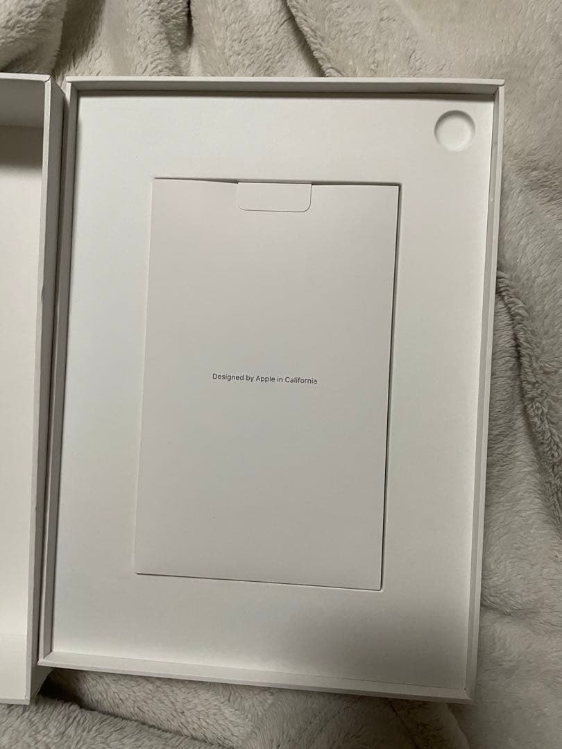 iPad (第10世代) Wi-Fi Cellular 64GB+1TB