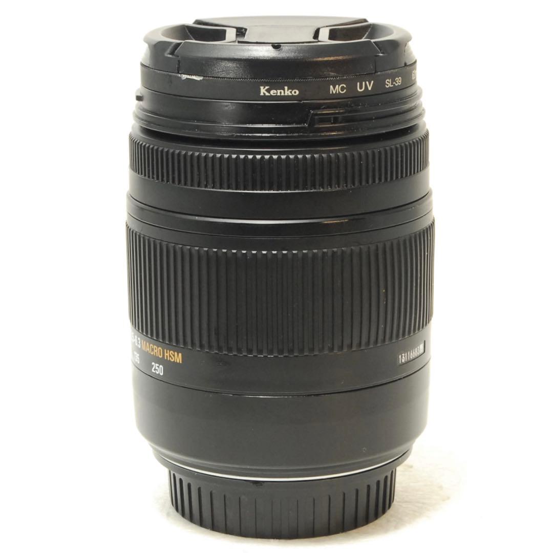 すずめ様_フォロー割❤️SIGMA 18-250mm DC HSM MACRO