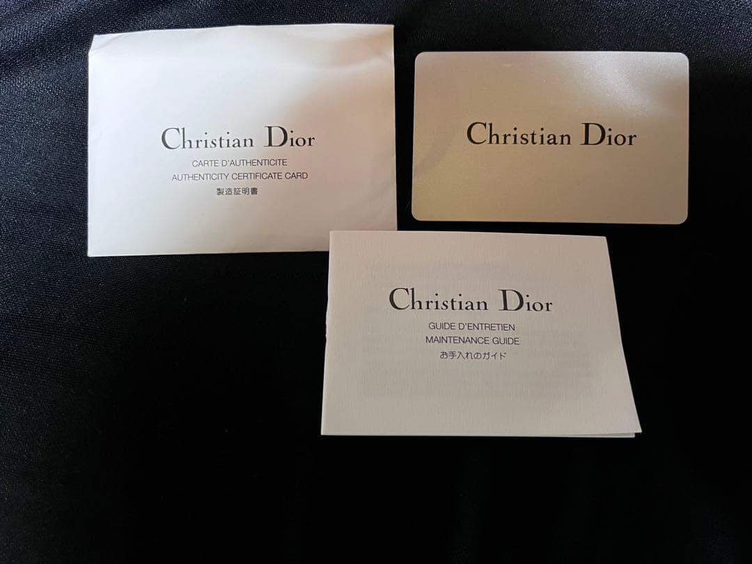 ディオールDior ガリアーノ リミテッドエディション かごバッグ レア 限定品