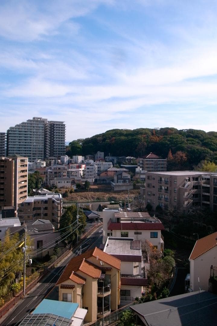 GR DIGITAL リコー GR デジタル（初代）