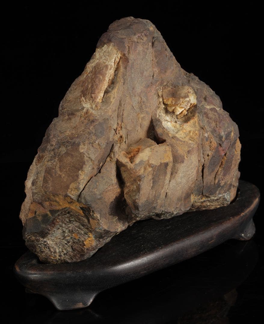 菊花石 花紋石 台座付 3.6kg 鑑賞石 原石 自然石 美石 水石 盆石 飾石