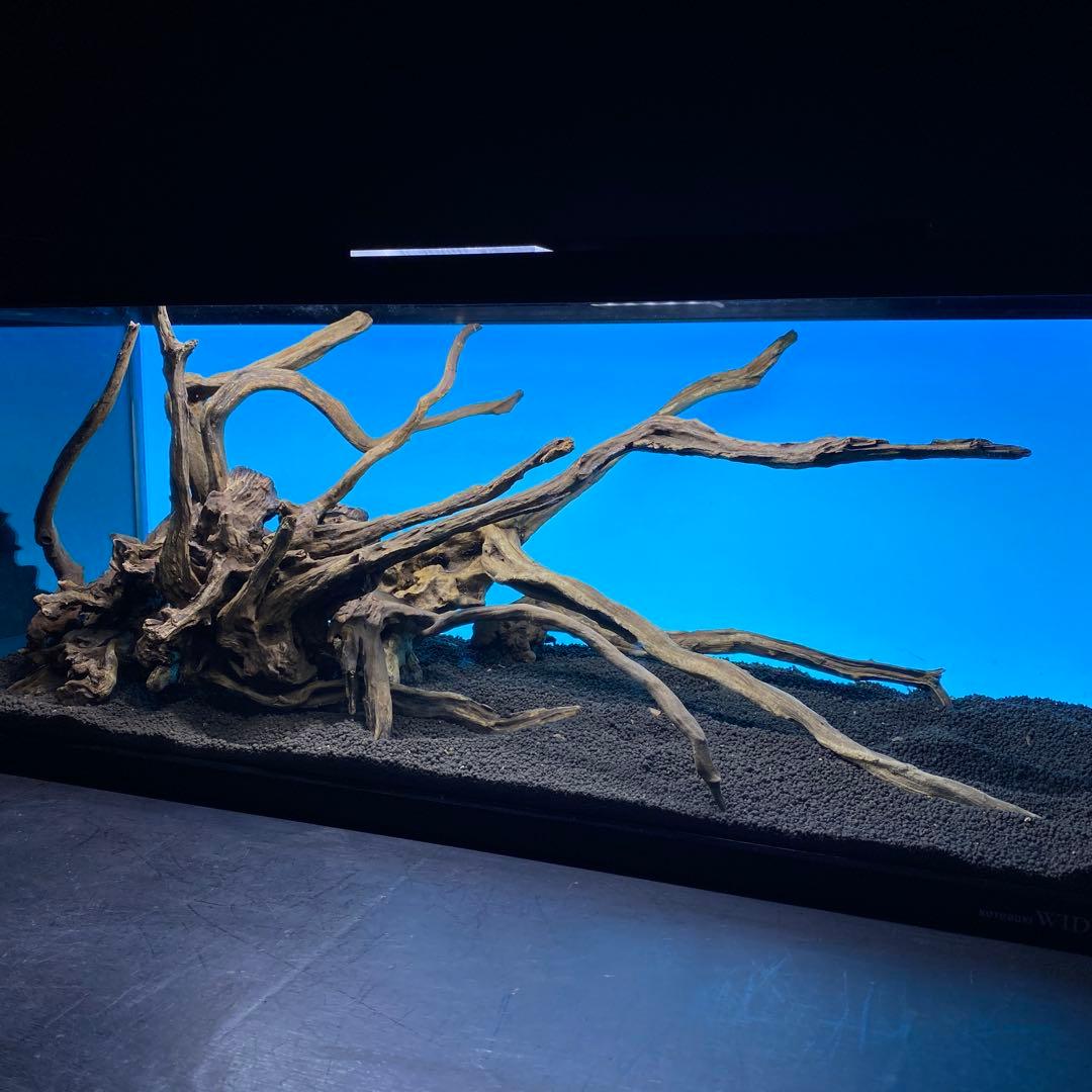 MSRW-6620 天然流木レイアウトセット　スリムウッド　アクアリウム