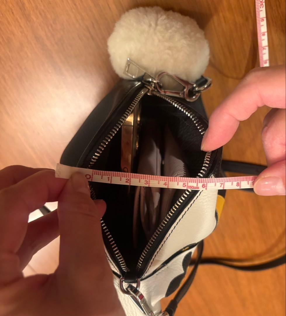 ロエベ　うさぎポーチポシェット