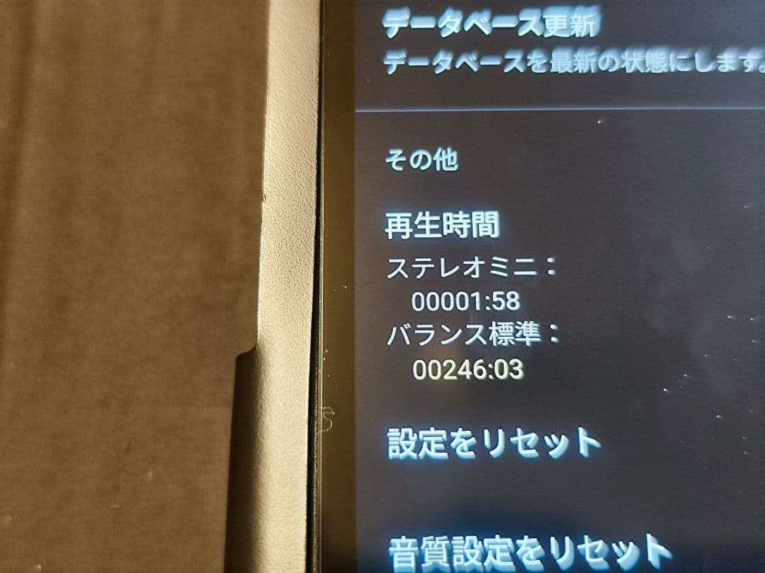 SONY NW-WM1AM2 本体　純正レザーケース