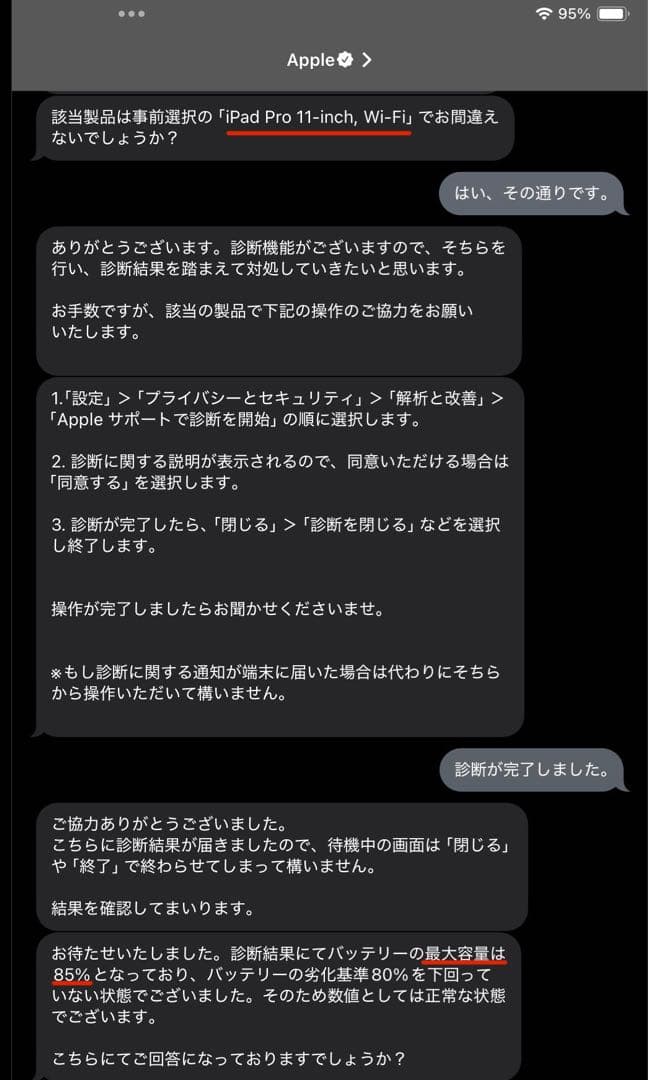 iPad Pro 第1世代 256GB Apple Pencil 第2世代　替芯