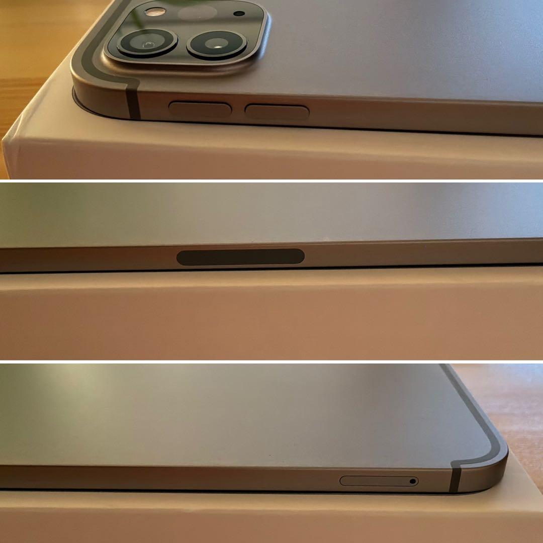 Apple iPadPro 11inch M2 Wi-Fi&セルラー 256GB