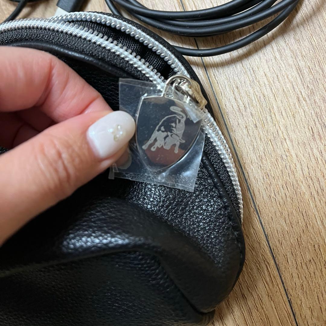 美品！　ランボルギーニ　美顔器　アルファワン