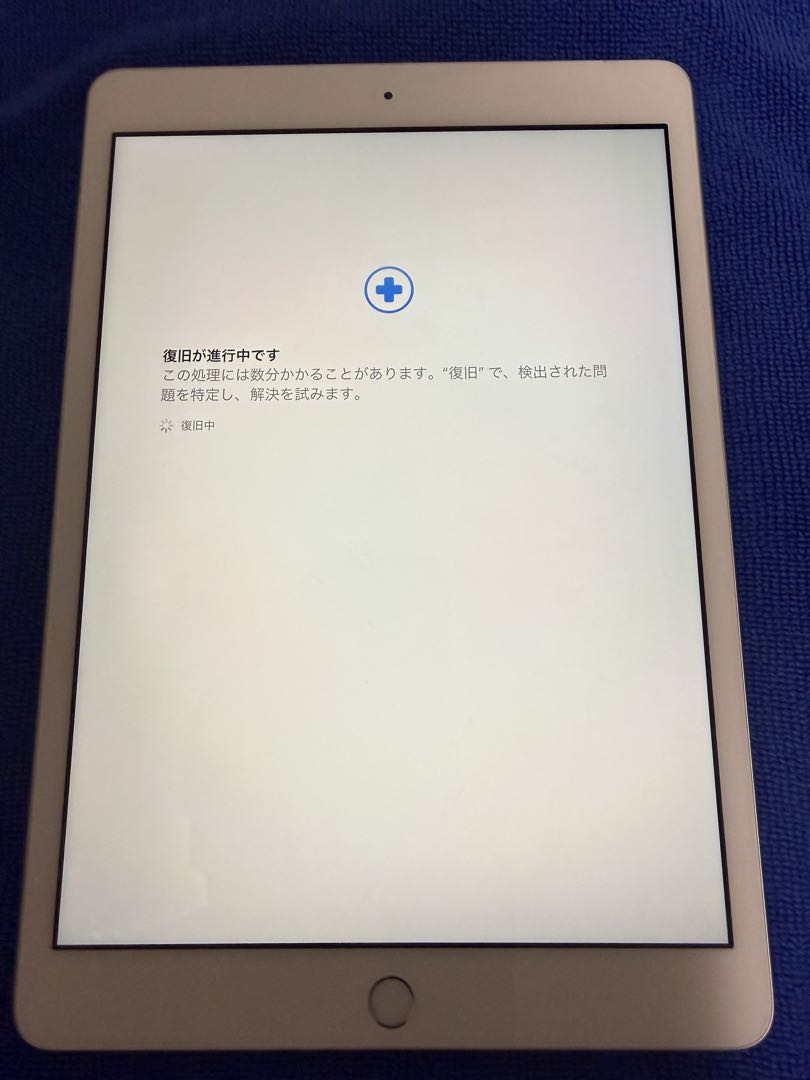iPad (第8世代) Wi-Fi+Cellular SIMフリー 【ジャンク】
