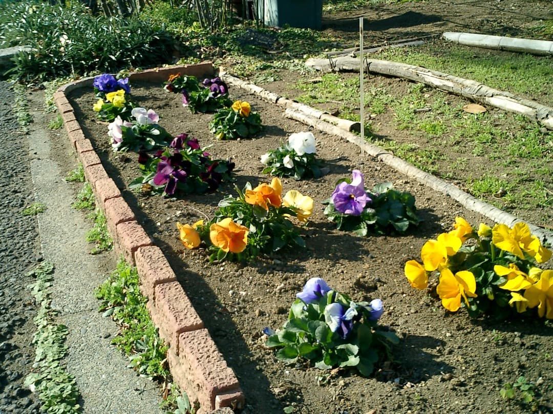 レトロ⭕️良品【動作oK!】CASIO EXILIM CARD EX-S2