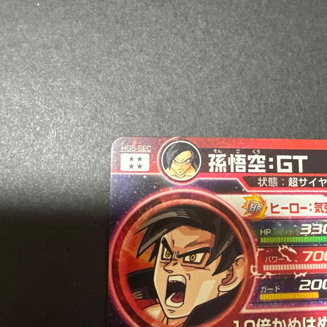 HG5-SEC 本家